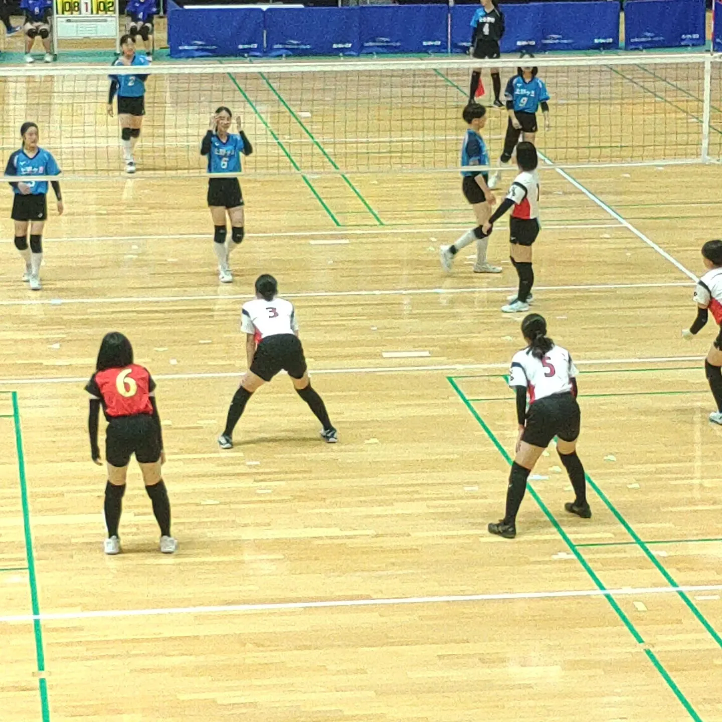 本日は定休日🥹